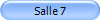 Salle 7