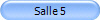 Salle 5